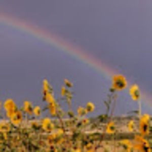 Meet your Posher, Bryan